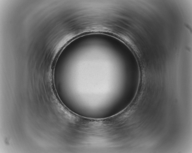 X0000102310990200807251435