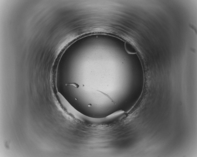 X0000102310991200807251435
