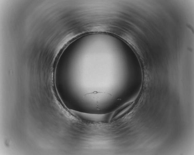 X0000102310992200807251435