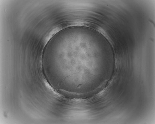 X0000102310994200807251435