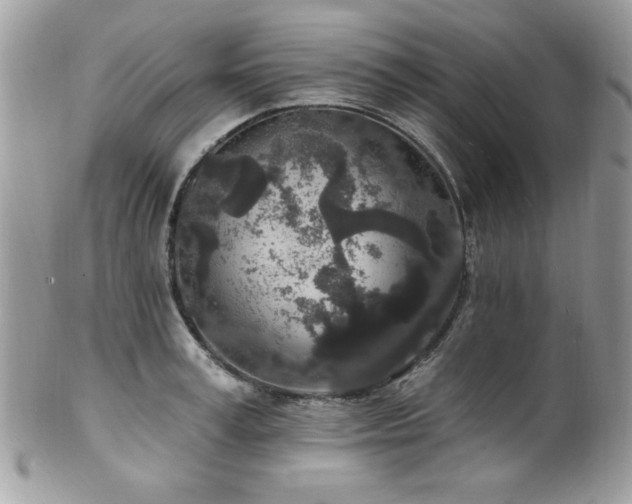 X0000102310995200807251435