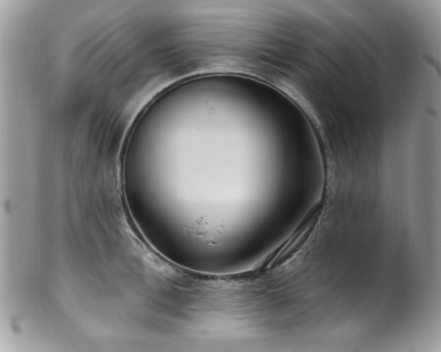 X0000102310996200807251435