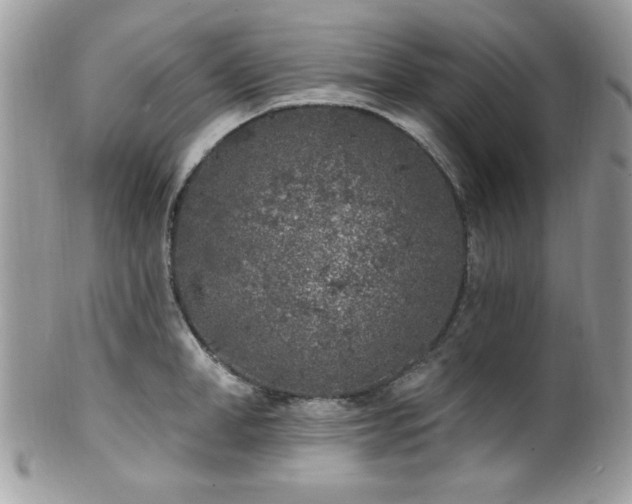X0000102310998200807251435