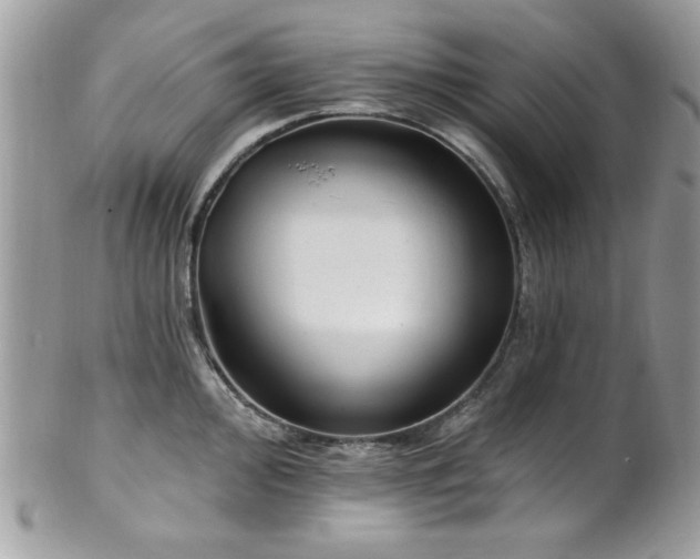 X0000102311000200807251435