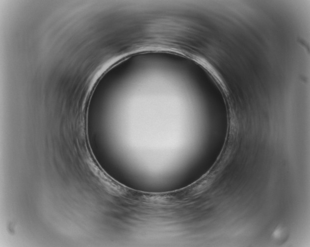X0000102311004200807251435