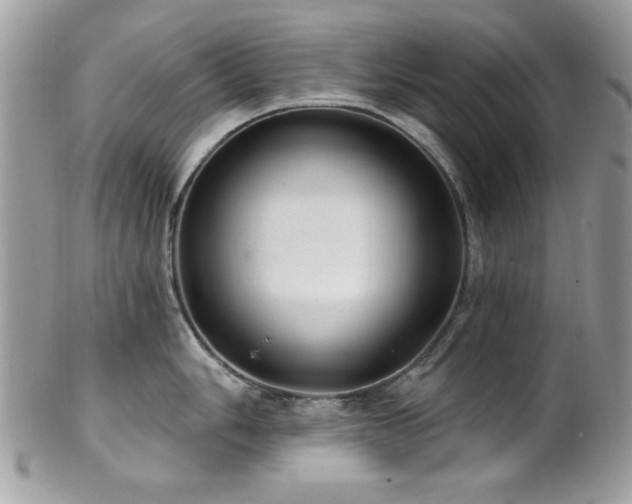 X0000102311006200807251435