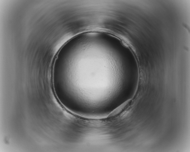 X0000102311007200807251435