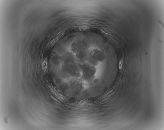 X0000102311011200807251434