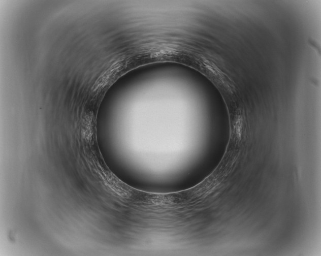 X0000102311012200807251434