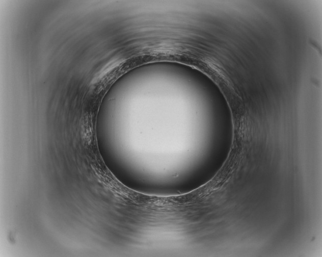 X0000102311015200807251434