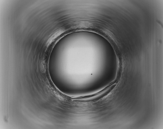 X0000102311018200807251434