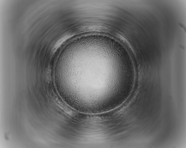 X0000102311019200807251434