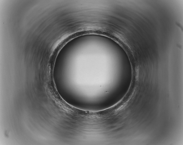 X0000102311021200807251434