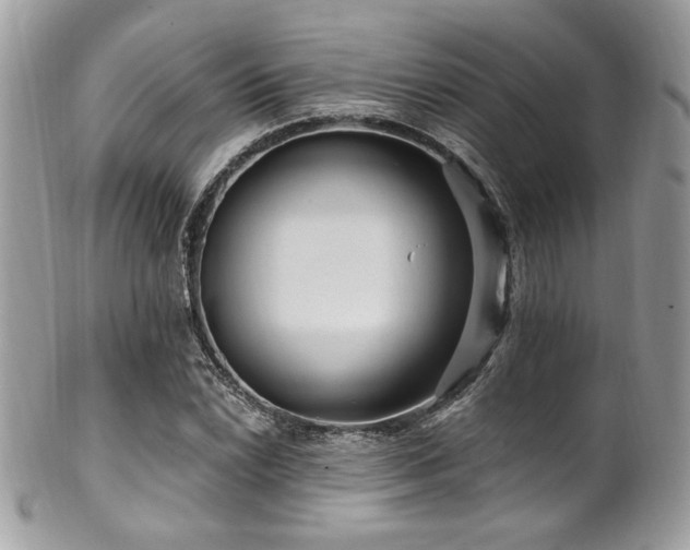 X0000102311022200807251434