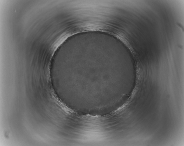 X0000102311023200807251434