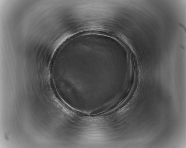 X0000102311024200807251434