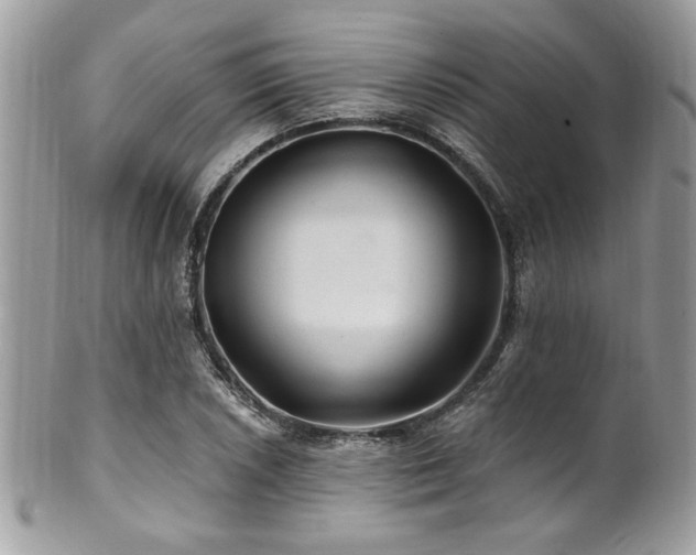 X0000102311026200807251434