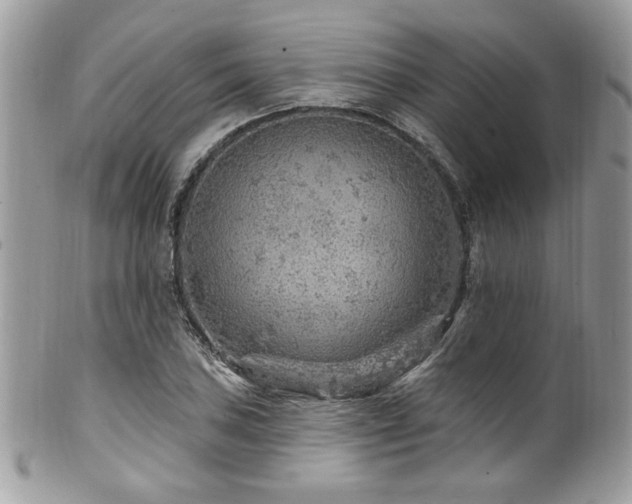 X0000102311027200807251434