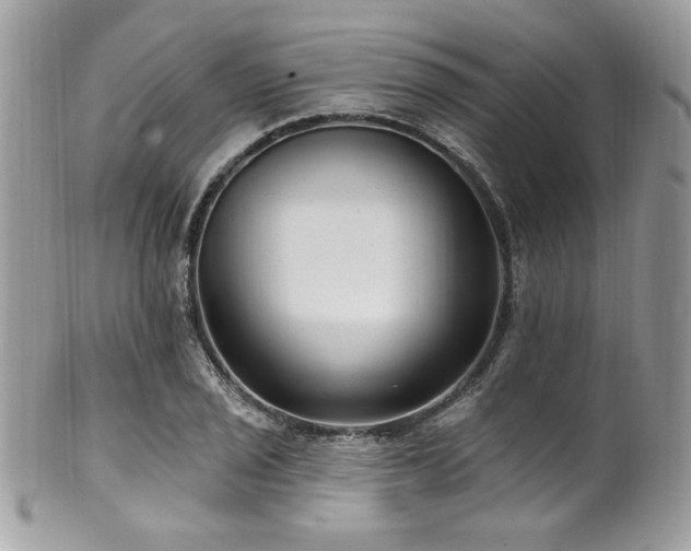 X0000102311029200807251434