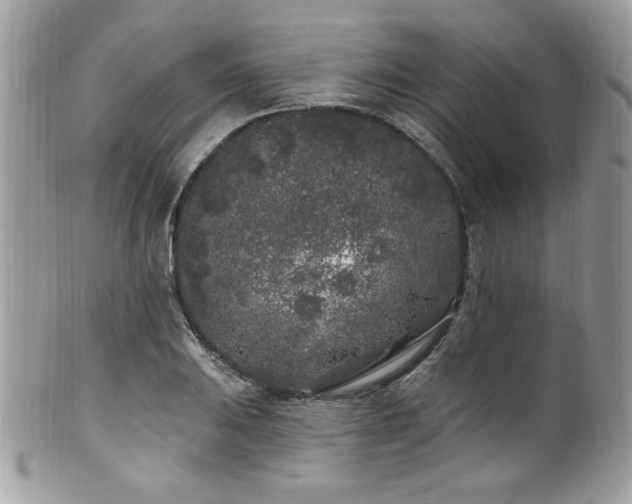 X0000102311031200807251434