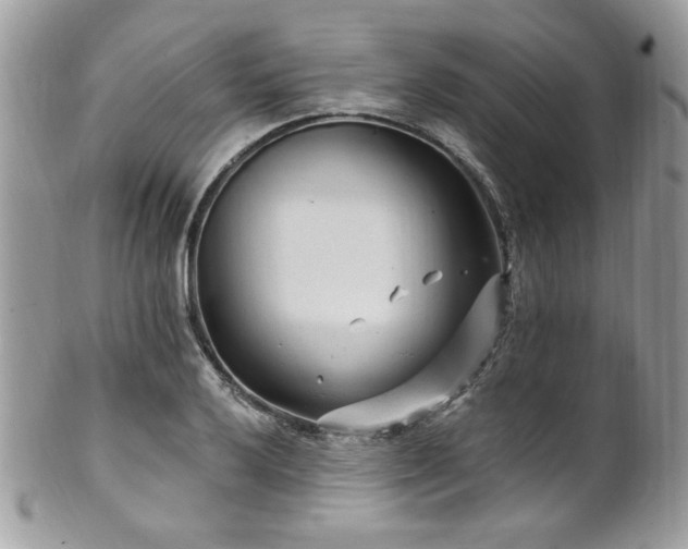 X0000102311032200807251435