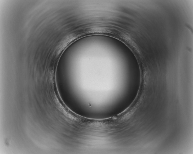 X0000102311033200807251435