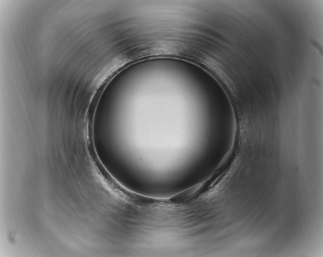 X0000102311034200807251435