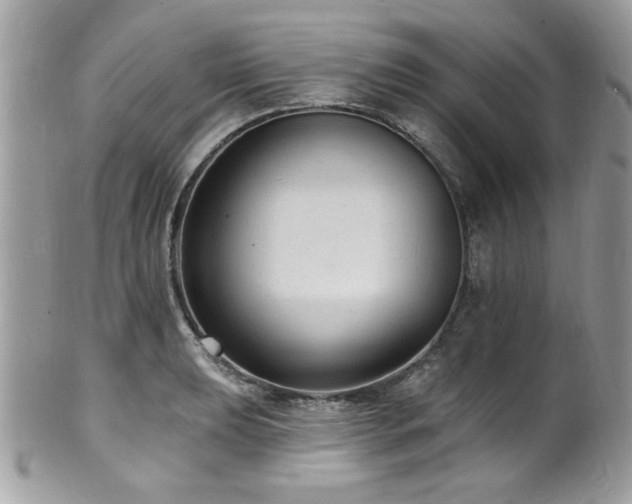 X0000102311039200807251435