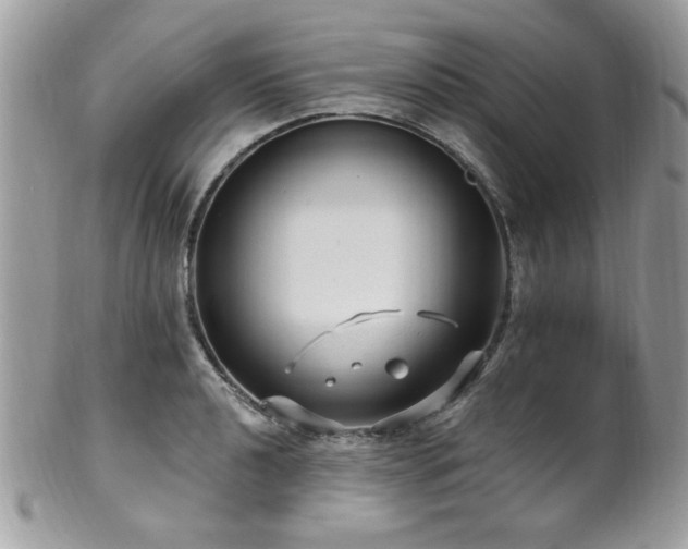 X0000102311040200807251435