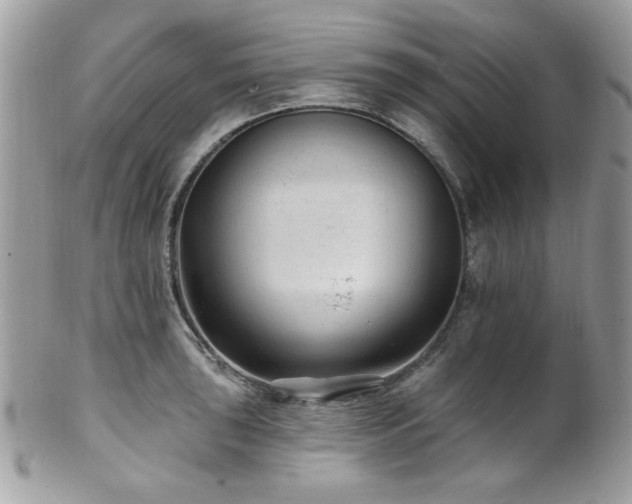 X0000102311043200807251435