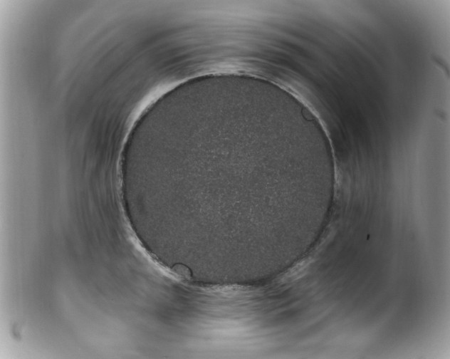 X0000102311045200807251435