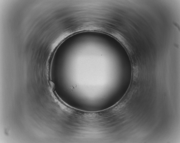 X0000102311046200807251435