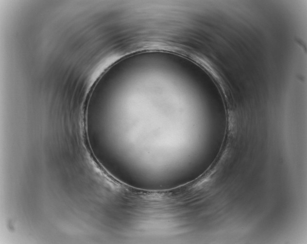X0000102311048200807251435
