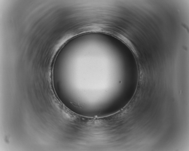 X0000102311051200807251435