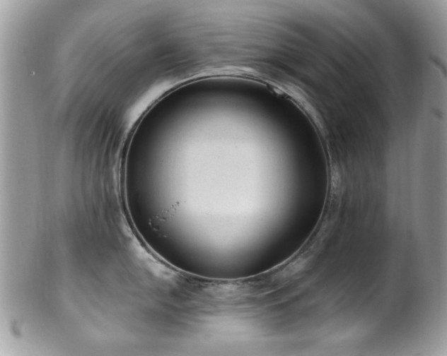 X0000102311054200807251435