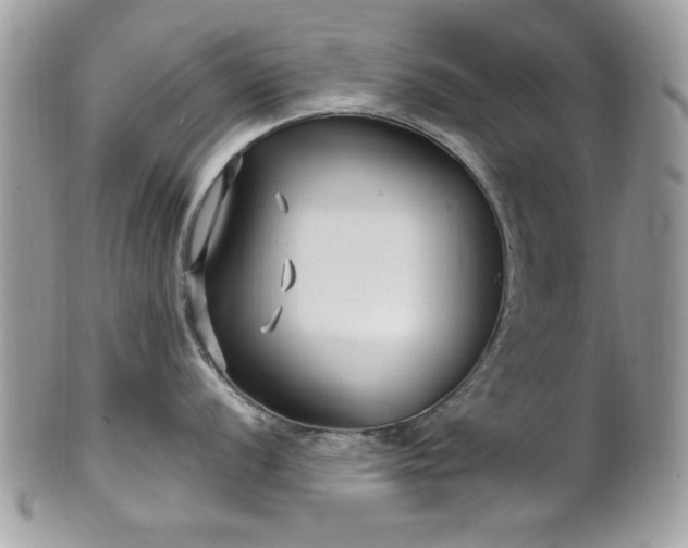 X0000102311056200807251435