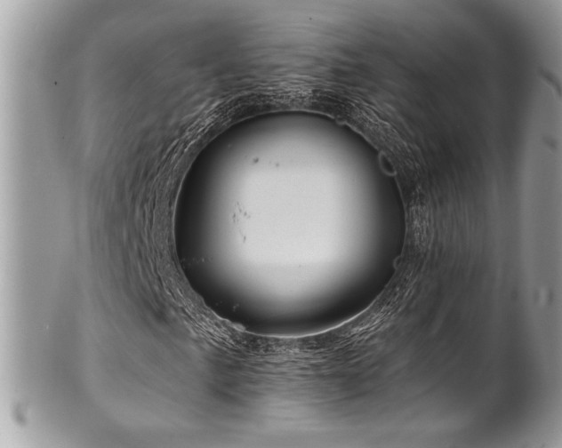 X0000102311057200807251434