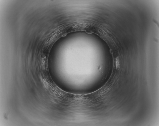 X0000102311059200807251434