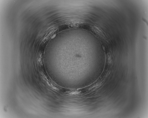 X0000102311060200807251434