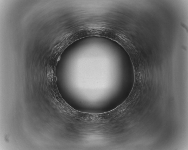 X0000102311061200807251434
