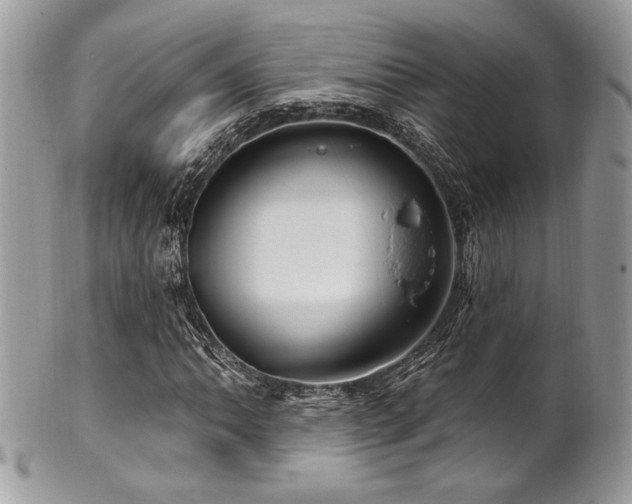 X0000102311062200807251434
