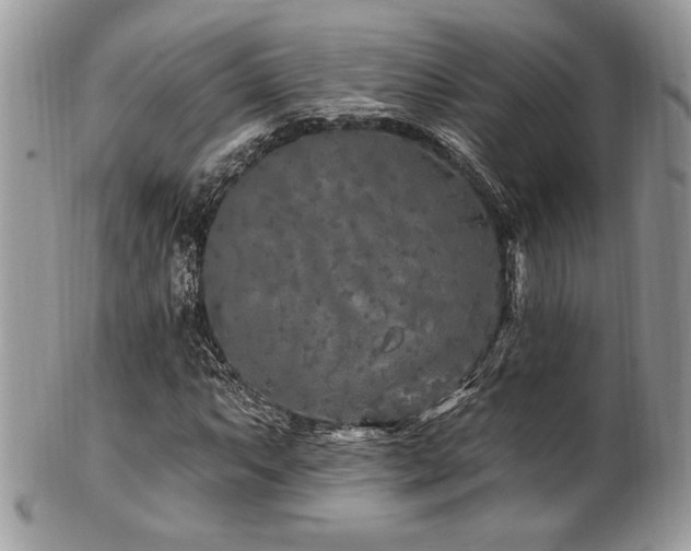X0000102311063200807251434