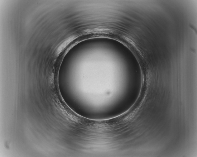 X0000102311066200807251434