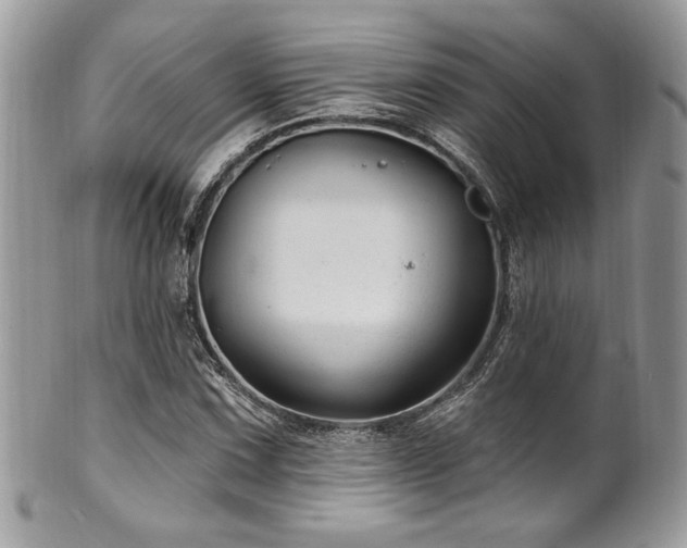 X0000102311067200807251434