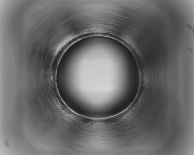 X0000102311070200807251434