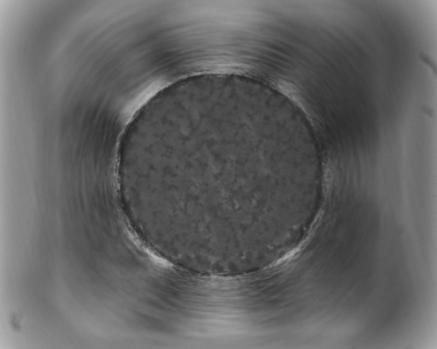 X0000102311071200807251434