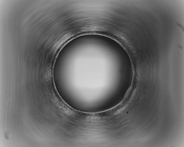 X0000102311073200807251434