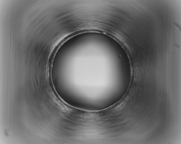 X0000102311076200807251434