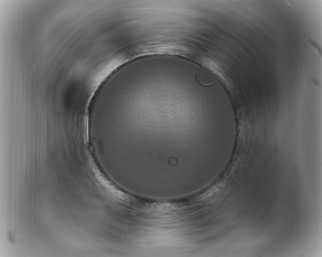 X0000102311079200807251434