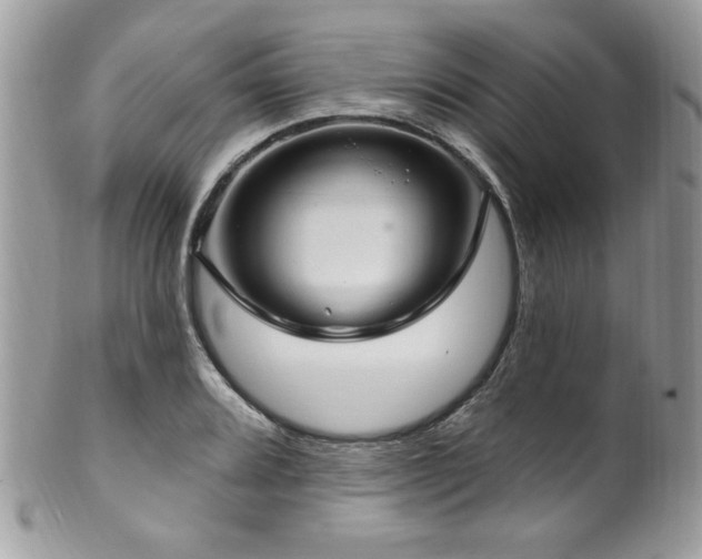 X0000102311080200807251434